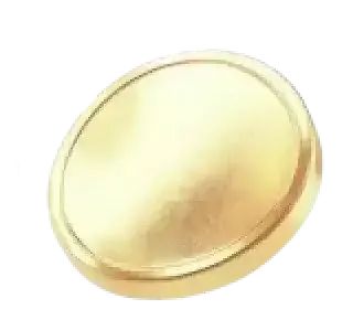 Evo Bridge platform Nederland